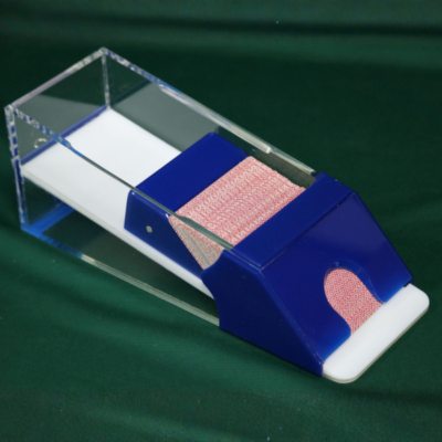 Clear with Blue Trim Shoe